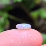 Opal stone held between fingers with a blurred green background