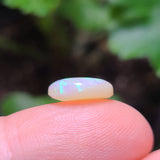 Green Light Opal, 2.72ct from Brazil