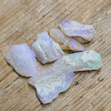 Opalized Fossil Shell Pieces 2.16g/6pcs from Australia