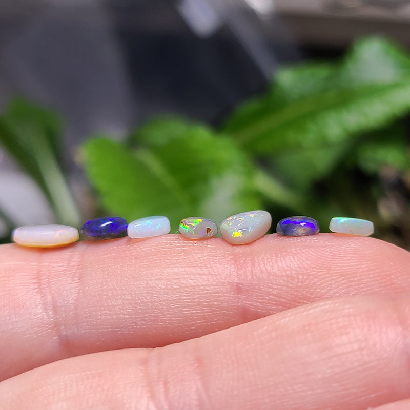 Jewelers Parcel of Small Australian Opals, 3.70tcw/7pcs