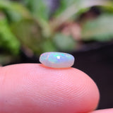 Colorful Dark Opal Freeform, 1.20ct from Lighting Ridge, Australia