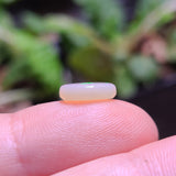 Colorful Light Opal, 1.45ct from Lightning Ridge, Australia