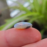 Opal stone held between fingers with a blurred green plant background