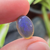 Opal stone held between fingers with a blurred plant background