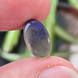Oval-shaped gemstone held between two fingers with a blurred natural background