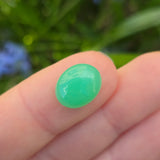 Chrysoprase Cabochon from Tanzania , 5.88ct