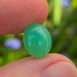 Green gemstone held between two fingers with a blurred green background
