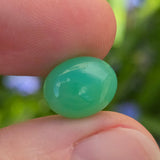 Green gemstone held between two fingers with a blurred natural background