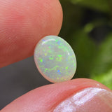 Opal stone held between fingers with a blurred green background