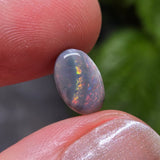 Opal stone held between fingers with a blurred green background