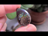 Koroit Boulder Opal, 24.85ct from Queensland, Australia