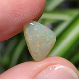 A polished pinfire crystal opal gemstone held in a person's hand, with a 3D pinfire pattern visible.