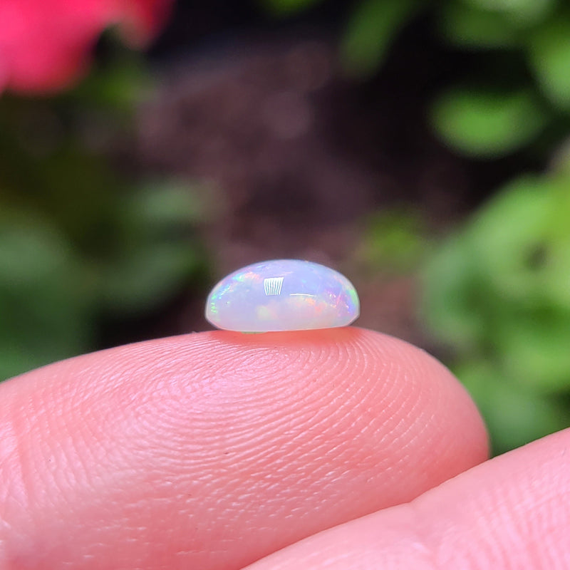 Round Crystal Opal, 1.12ct from Australia