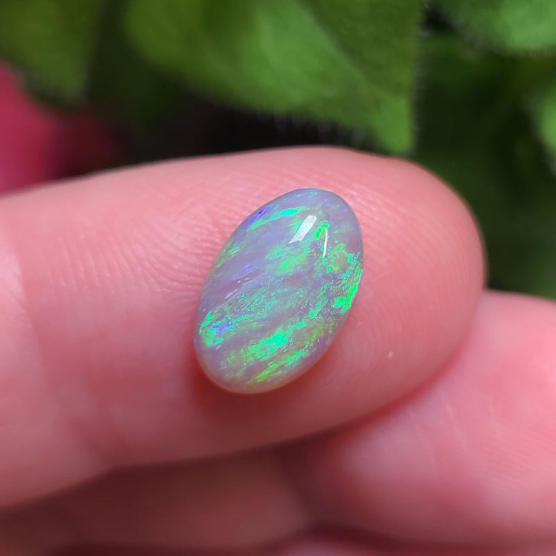 Green Crystal Opal, 2.08ct from Lightning Ridge, AUS