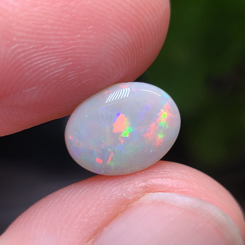 Colorful Dark Opal, 1.81ct from Lighting Ridge, AUS