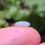 Green Crystal Opal, 0.80ct from Lightning Ridge, AUS