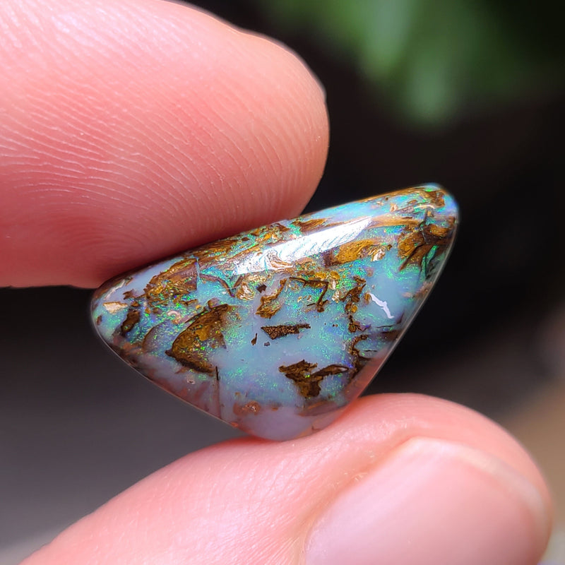 Koroit Boulder Opal, 8.56ct from Queensland, AUS