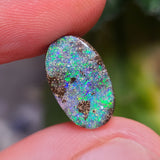 Green Boulder Opal, 3.66ct from Queensland, AUS