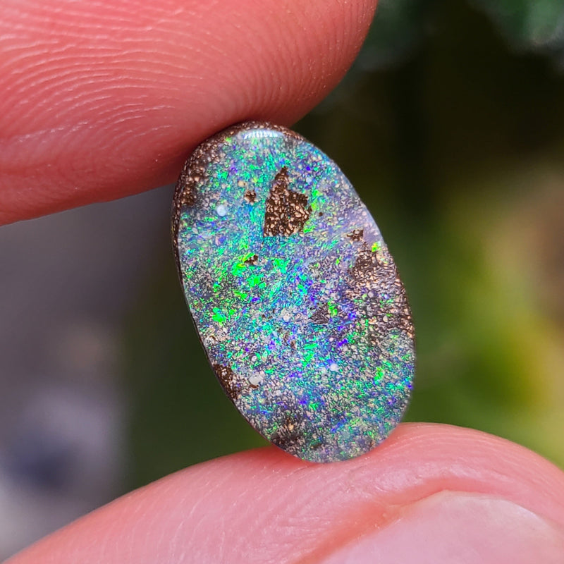 Green Boulder Opal, 3.66ct from Queensland, AUS