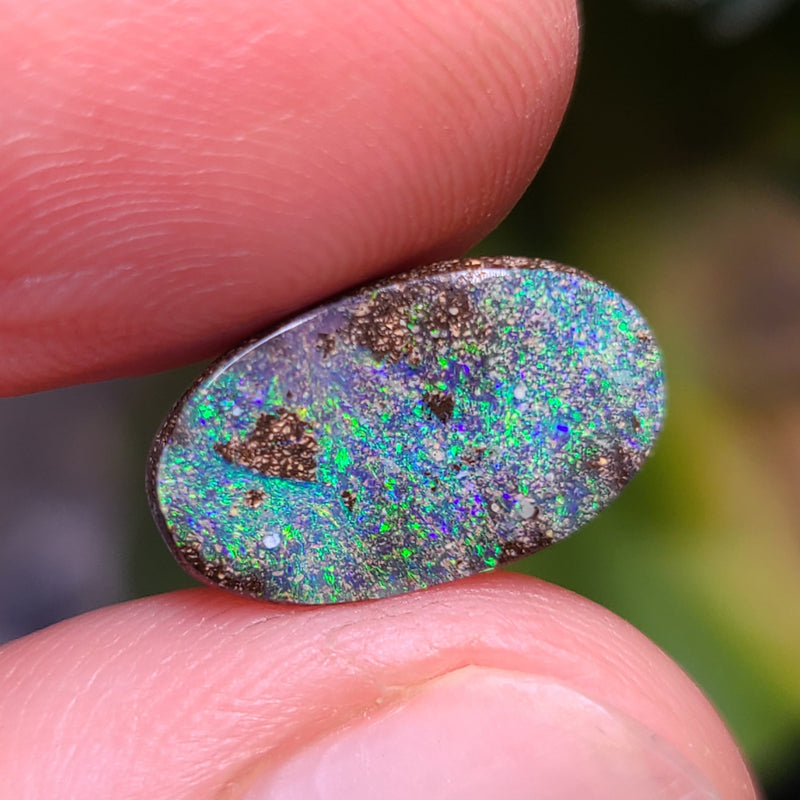 Green Boulder Opal, 3.66ct from Queensland, AUS