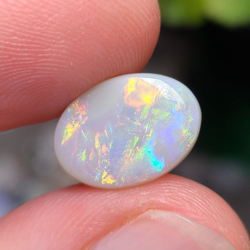 Colorful Dark Opal, 2.96ct from Lighting Ridge, AUS