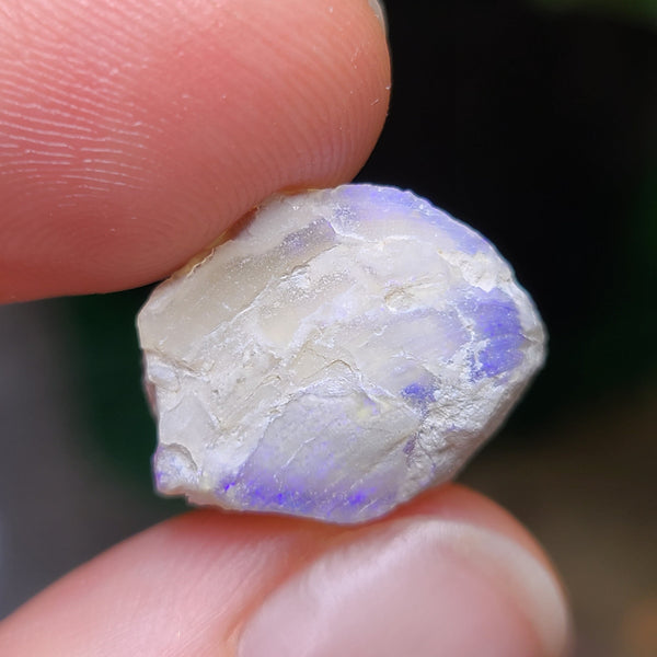 Purple Opalized Shell, 1.46g from Lightning Ridge, AUS