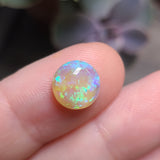 Green and Purple Dark Round Opal,  2.51ct from Lighting Ridge, Australia