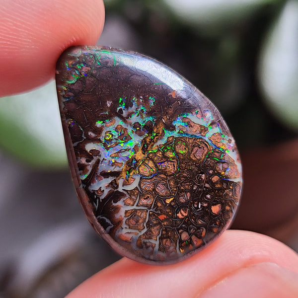 Koroit Boulder Opal, 24.85ct from Queensland, Australia