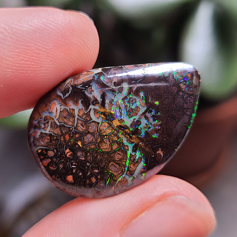 Koroit Boulder Opal, 24.85ct from Queensland, Australia