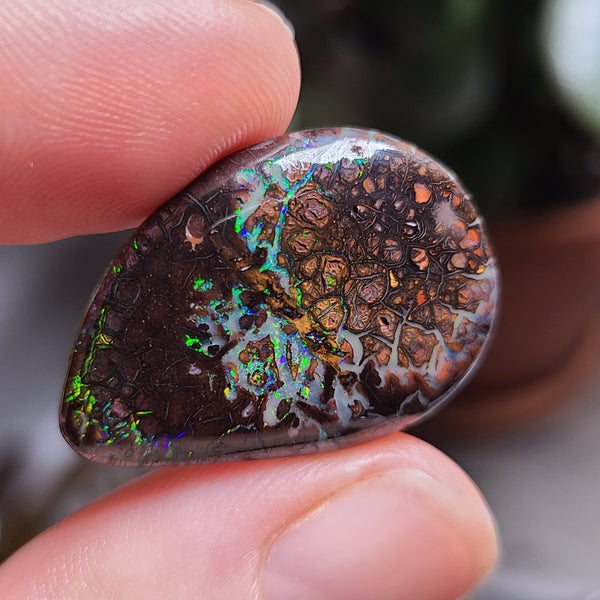 Koroit Boulder Opal, 24.85ct from Queensland, Australia