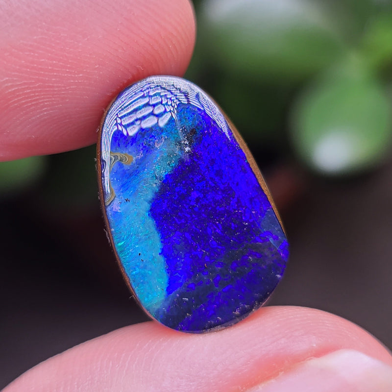 Boulder Opal, 13.75ct from Queensland, Australia