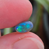 Opal stone held between fingers with a blurred plant background