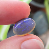 Opal stone held between fingers with a blurred plant background