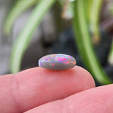 Polished opal stone held between fingers with a blurred plant background