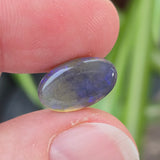 Oval-shaped gemstone held between two fingers with a blurred green background