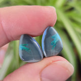 Two blue-green opal stones held between fingers with a blurred plant background