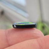Small, round, multicolored object held between fingers with a blurred background