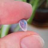 Opal stone held between fingers with a blurred plant background