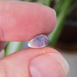 Polished opal stone held between fingers with a blurred plant background