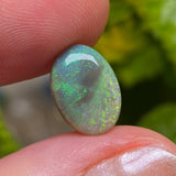 Opal stone held between fingers with a blurred green leafy background