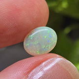 Opal stone held between fingers with a blurred green background