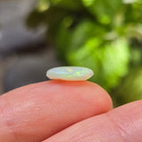 Opal stone held between fingers with a blurred green background