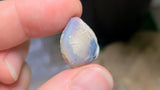 Complete Opalized Shell, 2.75g from Lightning Ridge, AUS