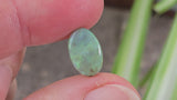Green Dark Opal,  1.84ct from Lighting Ridge, Australia