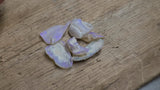 Opalized Fossil Shell Pieces 2.16g/6pcs from Australia