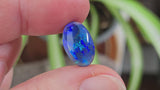 Blue Mixed Body Opal, 5.20ct from Lightning Ridge, Australia